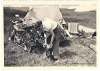 Dateiname=Familie_beim_Zelten_02_web.png
Dateigröße=1008KB
Abmessungen: 900x647
hinzugefügt am: 23. November 2014 Familie_beim_Zelten_02_web.png