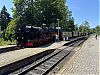 IMG_7250.jpeg