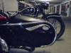 DSC01797.jpg