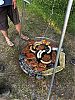 IMG_0062.jpeg